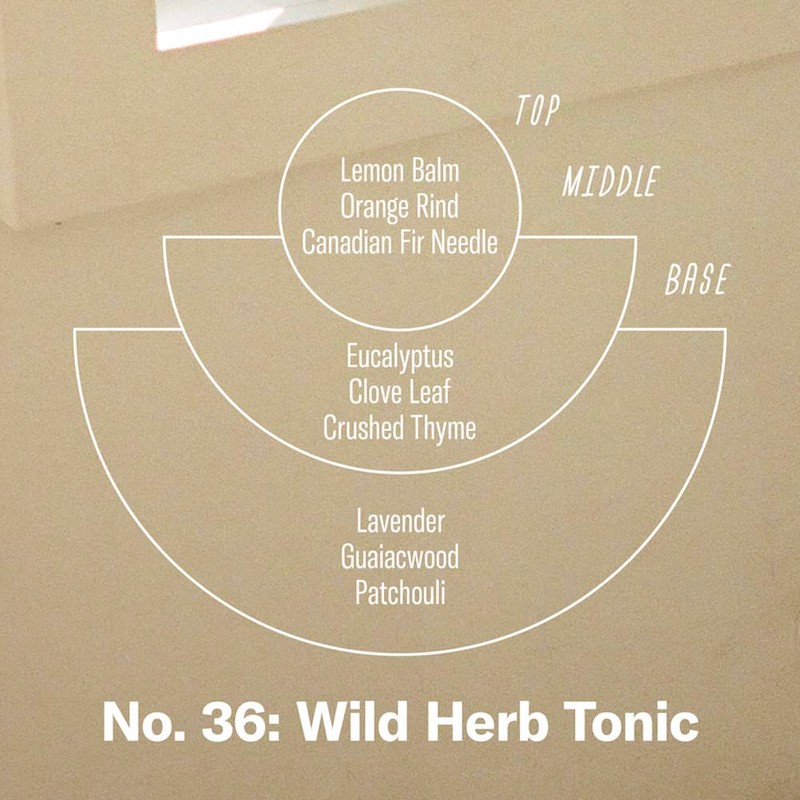 P.F. Candle Co. Wild Herb Tonic Classic Standard Scented Soy