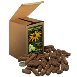 Black-Eyed Susan Guerrilla Droppings - Seed Pellets for Guerrilla Gardening (Rudbeckia hirta)