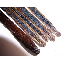 10 vainillas de vainilla mexicanas de grado A gourmet vainilla para extracto de vainilla casero y hornear de Veracruz, México