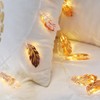 20 LED 2.5m Fairy String Light for Bedroom Lawn Landscape