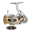 Daiwa LT3000-CXH 21 Freams