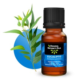 ORIGINAL NATURE'S OILS Kit Favoritos de 5 aceites Esenciales para difusor y Aromaterapia (Lavanda, Árbol de Té, Eucalipto, Naranja, Menta, 5 x 10 ML)