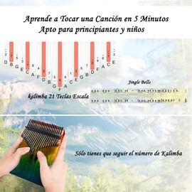 FHZLAJ Kalimba Piano de Pulgar 21 Teclas, Piano de Dedo Kalimba Instrumento Musical Portátil con Martillo de Afinación, Bolsa de Transporte, Regalo para Niños Adultos Principiantes Navidad Cumpleaños