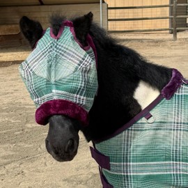 Kensington Equine Miniature Fly Mask w/Fleece Trim Size: A-Small Color: 2019 - Imperial Jade