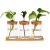 Window Garden Desktop Plant Terrarium Vase with Lid, Set of