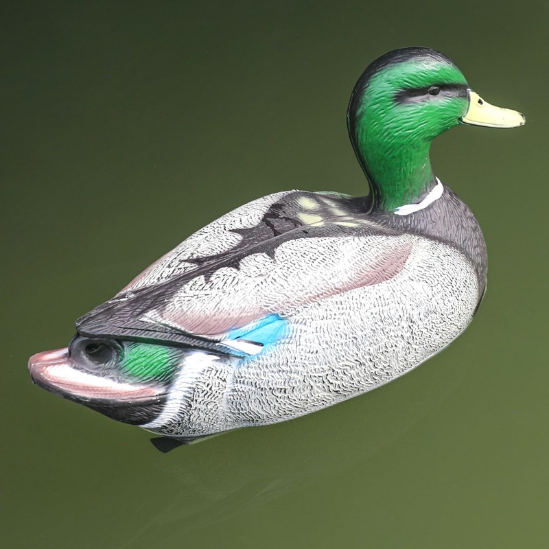 Cifavor Realistic Plastic Mallard Duck Decoy, Floating Hunting Decoy for