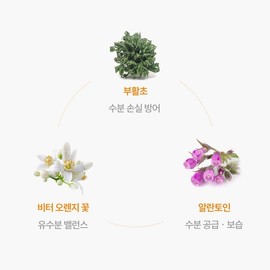 Calendula Toner Petal Extract Ampoule Mildly Acid Acne Pore Moisture Moisturizing Soothing 250ml / 카렌듈라토너 꽃잎 추출물 앰플 약산성 여드름 모공 수분 보습 진정 250ml