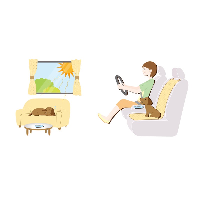 Pet Line Dog Heatstroke Checker Pink