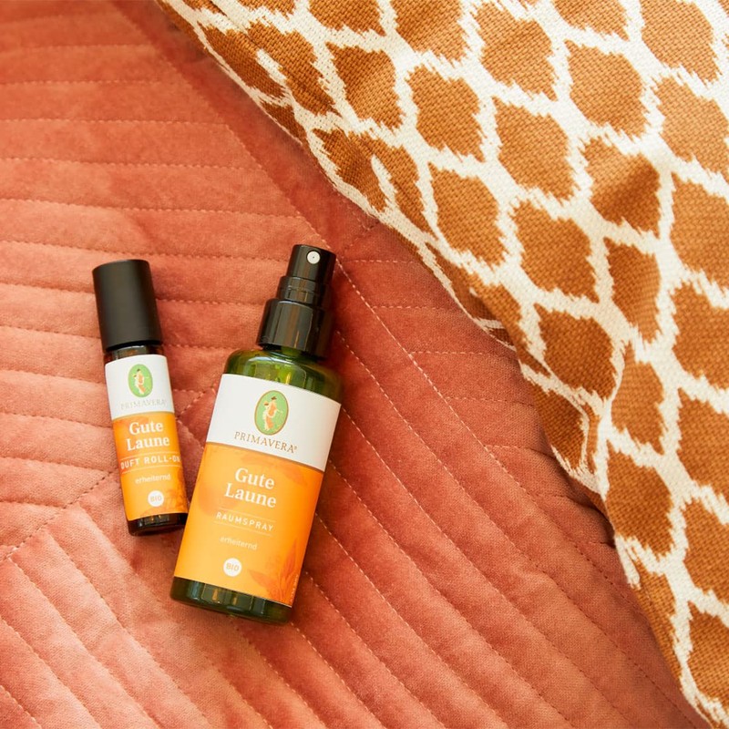 PRIMAVERA Duft Roll-On Gute Laune bio 10 ml - Orange,