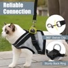 Bindokun Cat Harness and Lead Set, Escape Proof Kitten Harness