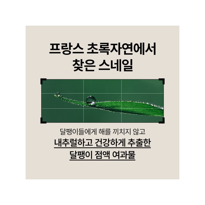 (Anti-aging) Snail solution 2-piece special set / Anti-aging (안티에이징) 스네일