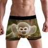ZZKKO Monkey Mens Boxer Briefs Underwear Breathable Stretch Boxer Trunk