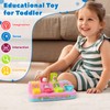 Tovol Zerky Montessori Pop Up Cause and Effect Baby Toy