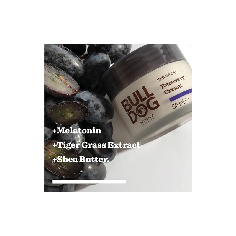 BULLDOG SKINCARE End of Day Recovery Face Cream for Men,
