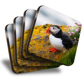 Destination Vinyl ltd Great Coasters (Set of 4) Square - Atlantic Puffin Bird Drink Glossy Coasters/Tabletop Protection for Any Table Type #21164