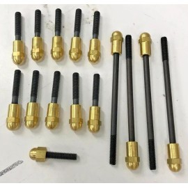 working class choppers HARLEY SOFTAIL BRASS ACORN PRIMARY COVER BOLTS 2007-UP big twin cam 2471-20