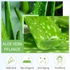 Aloe Vera Skin Care Set Gifts for Women - Skincare