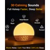 Sunrise Alarm Clock with Sound Machine - Wake Up Light,