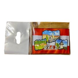 Graz Souvenir, Austria, Graz Fridge Magnet, Styria Souvenir, Graz Magnet, Graz Travel Keepsake, Graz Gift