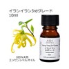 ASH Ylang Ylang 3rd Grade Essential Oil 10ml Boxed Aroma