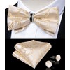DiBanGu Champagne Bow Ties for Men Tuxedo Pre-tied Bow Tie