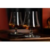 GLASSIQUE CADEAU 15 oz Medium Brandy, Cognac, and Armagnac Snifter