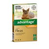 Advantage Buy Advantage Cat 0 to 4kg 4 Pack Online