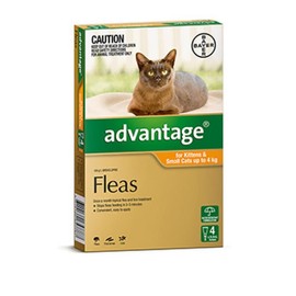 Advantage Buy Advantage Cat 0 to 4kg 4 Pack Online
