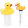 2Pcs Water Thermometer Set High Temperature Resistant Pool Chlorine Dispenser