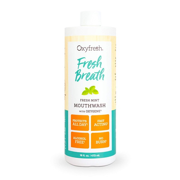 Oxyfresh Fresh Breath Fresh Mint Mouthwash – Dentist Recommended for Long-Lasting Fresh Breath & Healthy Gums | Alcohol & Fluoride Free (1-16 oz Bottle)