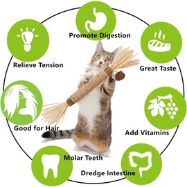 NSWXZDS Cat Toys 12Pack Cat Silvervine Toy Indoor Catnip Toys Cat Chew Stick with Feather Kitten Treat for Teeth Cleaning Kitty Dental Mint Snack Cat Molar Wood Food for Bordrom Exercise Interactive