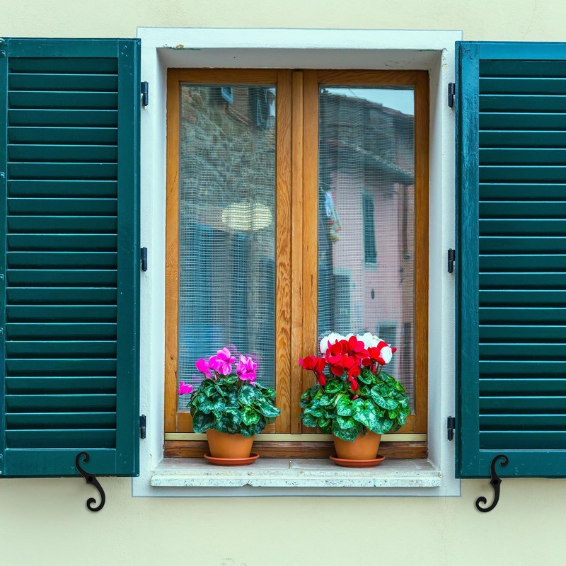 MorningRo 2 Pack Black S Style Shutter Dogs Hardware Decorative