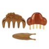 Sandalwood Meridian Comb Nose Massager Rosewood Scalp Massage Comb Set