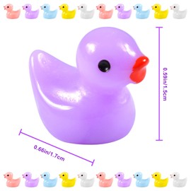 FGen Mini Ducks Pack of 100 Colourful Resin Ducks Small Duck 1.5 x 1.7 cm Mini Figures Small 5 Colour Resin Ducks Miniature for Home Garden Aquarium Dollhouse Landscape Decoration DIY