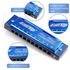 East top Blues Diatonic Harmonica in C, 10 Holes Blues