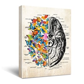 Anatomy Brain Canvas Wall Art for Doctor Office Decor, Gift for Medical School Graduation, Social Worker Graduation Gift, Occupational Therapist Gift, Psychological Doctor Gift Size 11.5 " X 15 "