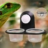 Gecko Food Dish - Reptile Food Bowl Water,with 4 Cups