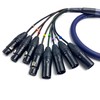 Fupiomeef 3.28ft DB25 to XLR Snake Cable, DB25 Male to