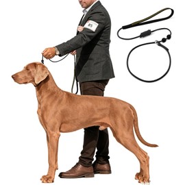 Correas deslizantes para perros, correa de entrenamiento, correa y cuello antideslizantes sin tirones, resistente y duradero, correa antideslizante delgada, adecuadas para perros pequeños