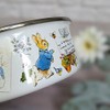Robert Frederick Peter Rabbit Enamel Bowl