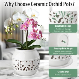 EFISPSS Orchid Pot with Holes, 6 Inch Ceramic Orchid Pot with Drainage and Tray, Promoting Air Circulation and Drainage, Indoor/Outdoor Flower Pots - White
