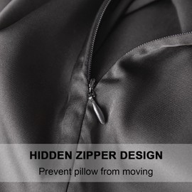 Mulberry Silk Pillowcase for Hair and Skin,Cooling Silk Pillow Case with Hidden Zipper,Allergen Proof Dual Sides Soft Breathable Smooth Silk Pillow Cover for Women. (Black, Queen(20"x 30"))