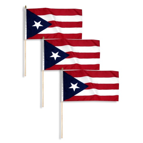 Puerto Rico Flag 12 x 18 inch (3 PK)