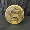 Shepherd's Guidance Challenge Coin Christian Daily Reminder Gift (Single Coin)