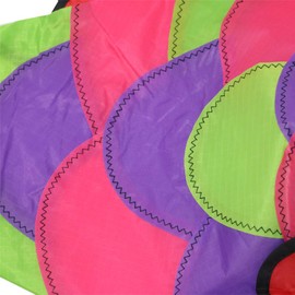 9KM DWLIFE 32 in Rainbow Fishing Windsock Spinner Garden Decoration