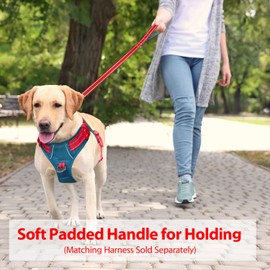 PHOEPET 5 Feet Dog Leash with Comfortable Padded Handle Easy Snap Clasp - Reflective Walking Lead for Large, Medium & Small Breed Dogs (Red + Teal Base)