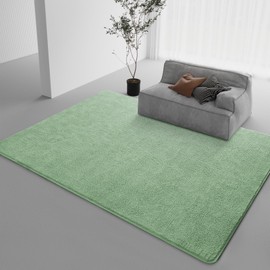 DweIke Super Soft Area Rugs for Bedroom Living Room, 5x7 ft Sage Green Large Rug, Thickened Memory-Foam Indoor Carpets, Modern Minimalist Washable Rugs for Girls Boys Adults Kids Bedroom Home Decor