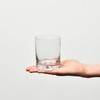 Krosno Whisky Glasses | Set of 6 | 11.8 oz