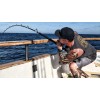 Rainshadow RCTB Stand Up Composite Tuna Rod Blank-Select Length/Power Free