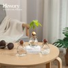 Hewory Glass Avocado Vase for Growing: 3 Pcs Acorn Vases
